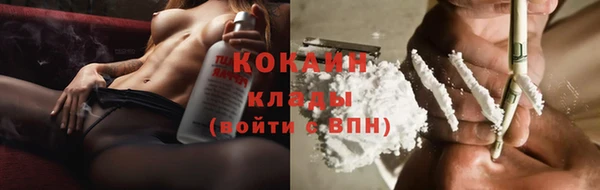 бошки Семилуки