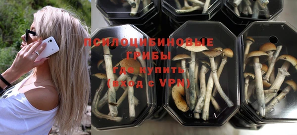 молекула духа Дедовск