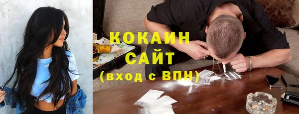 бошки Семилуки