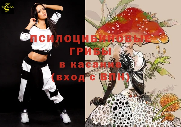 бошки Семилуки
