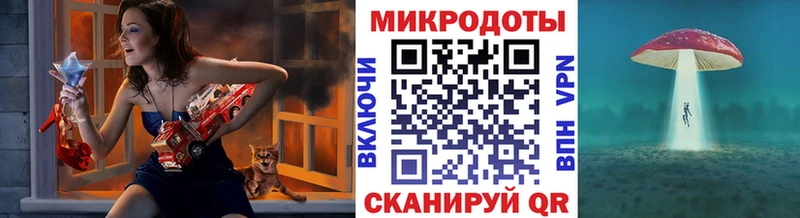 Галлюциногенные грибы Psilocybe  Бирюсинск 